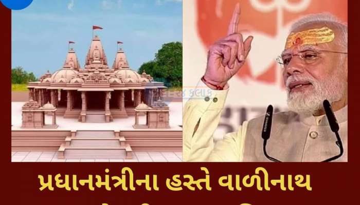 માલધારી સમાજમાં વાળીનાથ ધામનું આટલું મહત્વ કેમ છે, ટોકરી મંતરાવવાનો શું ભેદ છે, જાણો