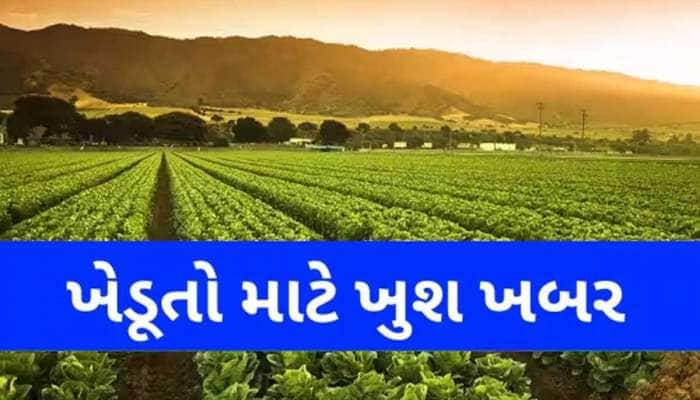 બાગાયતી ખેતી કરતા ગુજરાતના ખેડૂતો માટે આવી ગઈ યોજના! જાણો કેવી રીતે મળશે લાભ?