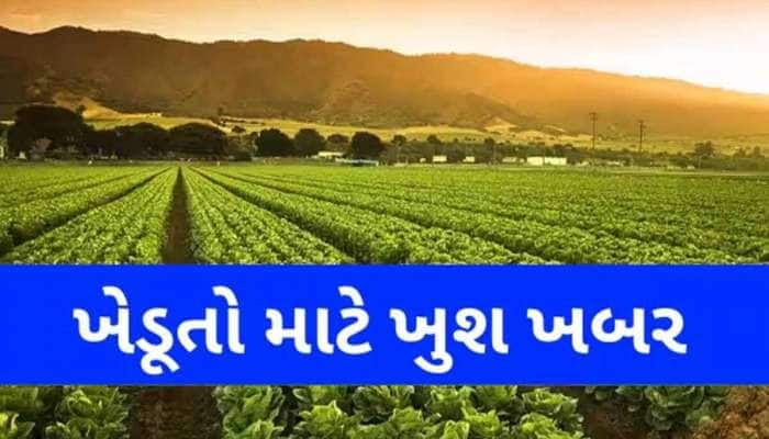 બાગાયતી ખેતી કરતા ગુજરાતના ખેડૂતો માટે આવી ગઈ યોજના! જાણો કેવી રીતે મળશે લાભ?