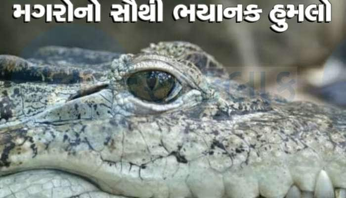 એક જ રાતમાં 500 જાપાની સૈનિકોને જીવતા ખાઈ ગયા હતો મગરો, સૌથી ભયંકર હુમલો