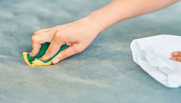 Cleaning Hacks: સોફાના ફેબ્રિક પર પડેલા ડાઘ 10 મિનિટમાં સાફ કરી દે તેવી જોરદાર છે આ ટ્રીક
