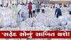 Cotton Market Rate in Gujarat: ગુજરાતમાં કપાસના ભાવ ટેકાથી પણ વધારે, જાણી લો કયા માર્કેટમાં કેટલો છે આજે ભાવ