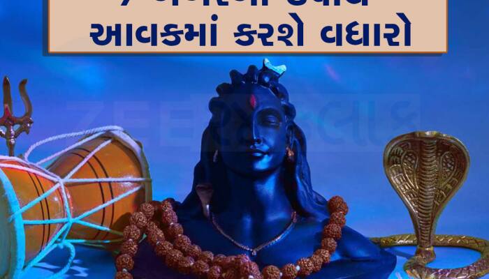 શિવરાત્રી પર ભોલેનાથને પ્રસન્ન કરવાના 10 ઉપાયો, સમસ્યા ભાગશે અને મનોકામના થશે પૂર્ણ!