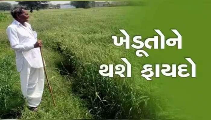 આ પાક ઉગવતા ખેડૂતોને મળશે બોનસ, સરકારની આ જાહેરાતથી ડબલ થશે ગુજરાતના ખેડૂતોની આવક