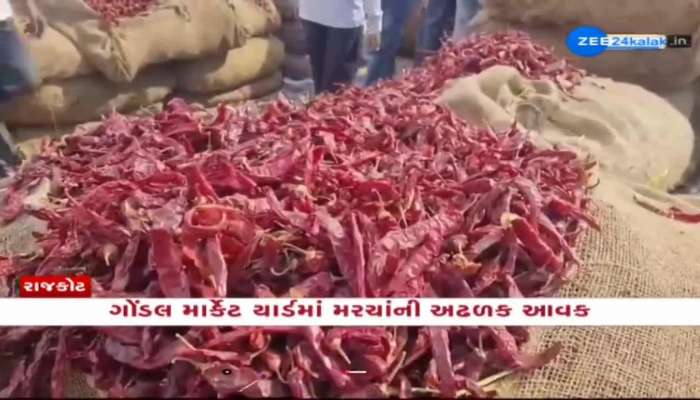 મરચાંની અઢળક આવકથી ઉભરાયું ગોંડલ માર્કેટ યાર્ડ; સારો ભાવ મળતા ખેડૂતોમાં ખુશીની લહેર  