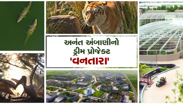 અનંત અંબાણીનો ડ્રીમ પ્રોજેક્ટ 'વનતારા', 3000 એકરમાં પથરાયું લીલુંછમ જંગલ