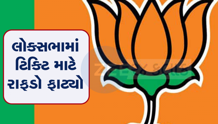 મોદીના માનીતા નેતાએ આ બેઠક પર કરી દાવેદારી, જુઓ લોકસભા માટે કોણે કોણે ટિકિટ માંગી 