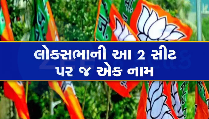 Loksabha Election 2024: ગુજરાતમાં ભાજપના આ મૂરતિયા લાઈનમાં: રંગેચંગે જાન નીકળશે કે રહી જશે વાંઢા!