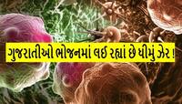 ગુજરાતીઓ ભોજનમાં લઈ રહ્યાં છે ધીમું ઝેર! જાણો તમાકુ કરતા પણ ખતરનાક છે કઈ વસ્તુ