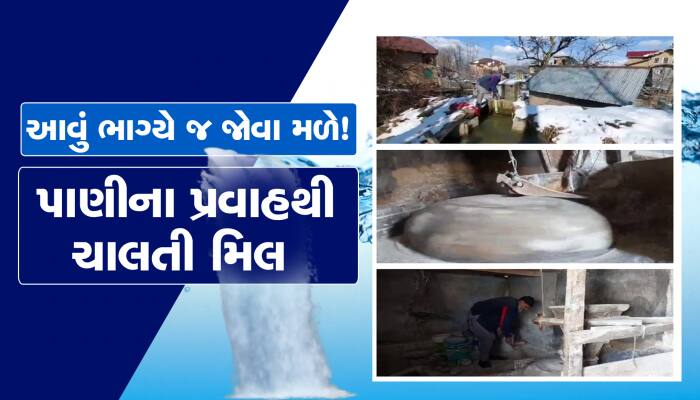 Gujarati News Gujarat Samachar Latest News in Gujarati Zee