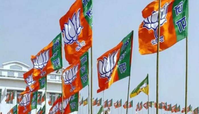 Lok Sabha Election: પ્રથમ લિસ્ટમાં 100 ઉમેદવારોના નામ જાહેર કરશે BJP! 1 કે 2 માર્ચે થઈ શકે છે જાહેરાત