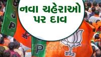100 સાંસદોની કપાશે ટિકિટ: કમળનું ફૂલ જ ભાજપનો ઉમેદવાર, નેતાજીને ટિકિટ નહીં