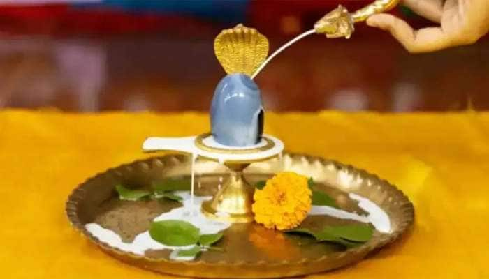 Shivling At Home: ઘરમાં શિવલિંગ સ્થાપિત કરી શકાય કે નહીં ? જાણો આ પ્રશ્નનો સાચો જવાબ