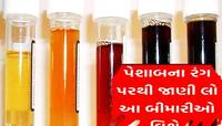 પેશાબનો રંગ લાલ, પીળો, લીલો કે વાદળી હોય તો શું સમજવું? કયો રંગ કઈ બીમારીનો છે સંકેત