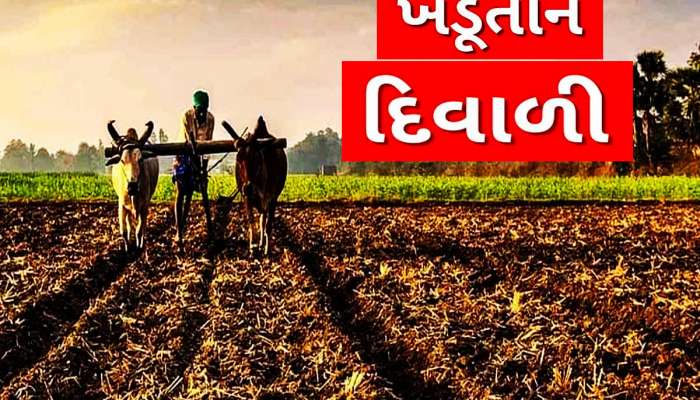 ગુજરાતમાં કપાસની ખેતી કરતા ખેડૂતોના ત્યાં ઉગ્યો સુખનો સુરજ!  લાલચોળ તેજીમાં માલામાલ