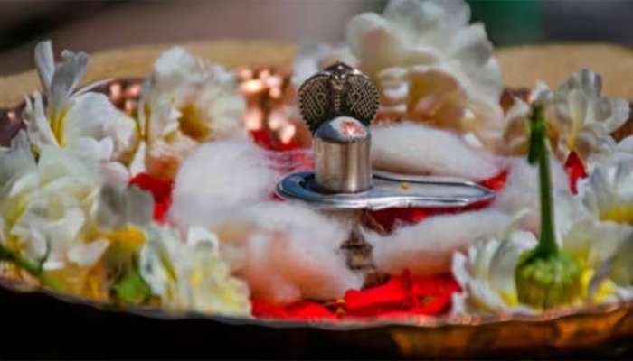 Mahashivratri 2024: મહાશિવરાત્રી પર આ વિધિથી કરો શિવ પૂજા, મનની ઈચ્છા થશે પુરી