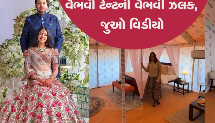 Video: તમે અંદરથી જોયો લક્ઝરી ટેન્ટ કેવો છે? આ ટેન્ટમાં રોકાયા છે અંબાણી પરિવારના મહેમાન,  VIP લોન્જમાં થશે સ્વાગત