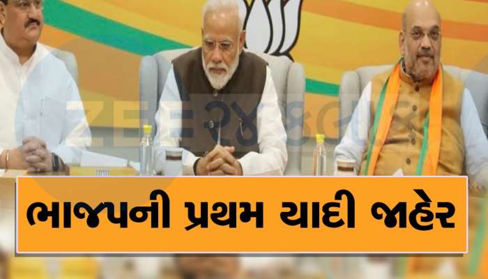Loksabha Election: ભાજપે જાહેર કરી ઉમેદવારોની પ્રથમ યાદી, જાણો કોને મળી ટિકિટ
