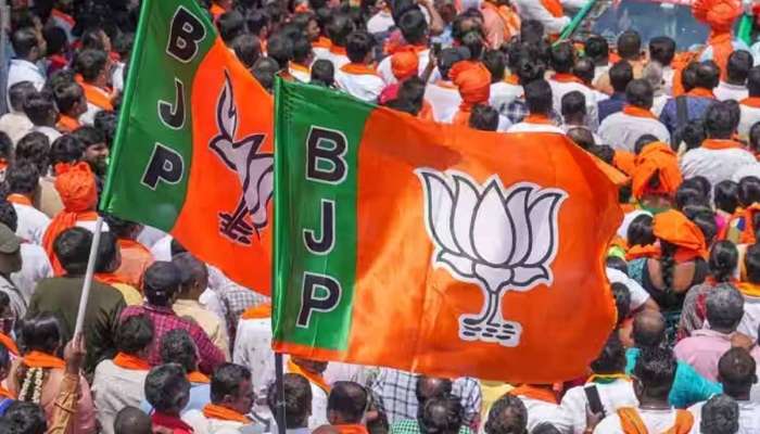  ગુજરાતની 15 સીટો પર BJP ઉમેદવારોના નામ જાહેર, કયા 5નું પત્તું કપાયું અને કયા 10ને કરાયા રિપીટ