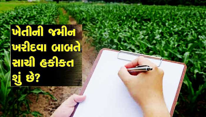 શું કોઈ પણ લઈ શકે ખેતીના નામે જમીન? જાણો બિનખેડૂત માટે શું છે ગુજરાત સરકારનો નિયમ