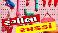 મોજ કરાવતા 'રમકડાં'થી ગુજરાતીઓ કરે છે લાખો કમાણી, કપલ ગાદલા લેવા આવતા આવ્યો આઈડિયા
