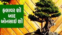 અમદાવાદમાં નવું નજરાણું! પ્રકૃતિપ્રેમીઓનો થશે જમાવડો, દુનિયાભરના પ્લાન્ટ્સ એક સ્થળે