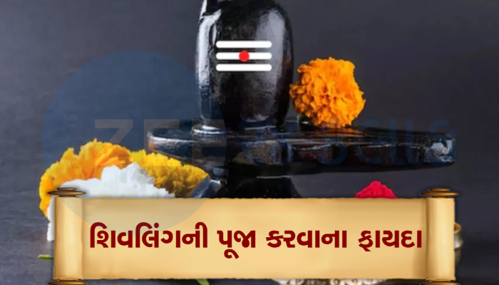 શિવ ભક્તો ખાસ જાણી લે આ વાત, ભગવાન શિવને બદલે શિવલિંગની પૂજા કેમ કરાય છે? અહીં જાણો કારણ