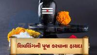 ભક્તો ખાસ જાણી લે આ વાત, ભગવાન શિવને બદલે શિવલિંગની પૂજા કેમ કરાય છે? અહીં જાણો કારણ