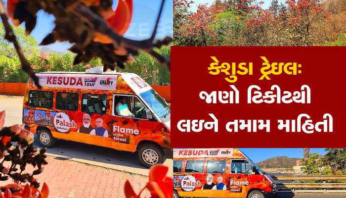 Flame of Forest: વિંધ્યાચલ પર્વતમાળામાં ભોમિયા સાથે ડુંગરા ભમવા હોય તો બુક કરાવી દેજો સ્લોટ