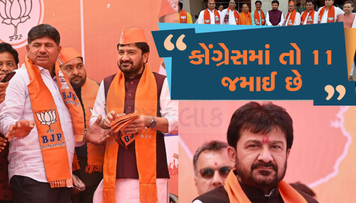 કોંગ્રેસના જમાઈ : લોકસભા હારે તો વિધાનસભા લડે અને વિધાનસભા હારે તો લોકસભા, પાર્ટીની ઘોર ખોદી