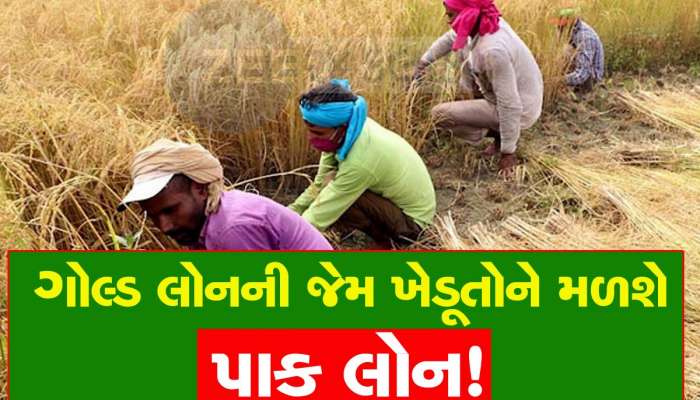 હવે સોના સાથે સરખાશે ગુજરાતના ખેડૂતોના પરસેવાનો મોલ! ગોલ્ડ લોનની જેમ મળશે પાક લોન