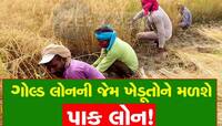 હવે સોના સાથે સરખાશે ગુજરાતના ખેડૂતોના પરસેવાનો મોલ! ગોલ્ડ લોનની જેમ મળશે પાક લોન