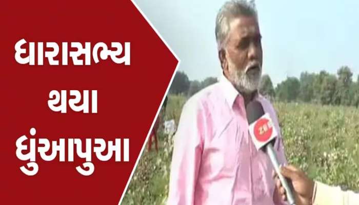 'ચૂંટણી પછી 80 વર્ષની ડોશી થયેલી કોંગ્રેસનું બારમું નક્કી જ છે', ફતેસિંહના કોંગ્રેસ પર આકરા પ્રહાર...
