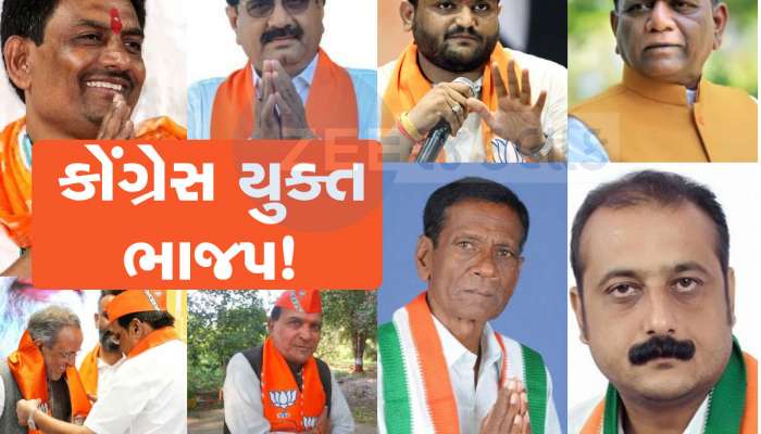 ભાજપની ખિસકોલી બની ગયા 100 નેતાઓ, આ રહ્યું લિસ્ટ: હજુ ઘણા હાજી હા કરવા લાઈનમાં