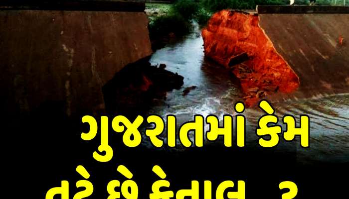 ગુજરાતની ખેડૂતપ્રેમી ભાજપ સરકારે કહ્યું 'ખેડૂતોના કારણે 219 વાર તૂટી છે નર્મદા કેનાલ