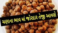 જીરું અને એરંડાનો સંગ્રહ કર્યો તો પસ્તાશો, નહીં મળે ભાવ: ચણાના ભાવમાં આવશે તેજી