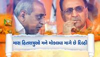 કાકા સમજી ગયા,રૂપાણી રહી ગયા: આ મંત્રીએ સામેથી પાડી ના,મારે નથી લડવી લોકસભાની ચૂંટણી