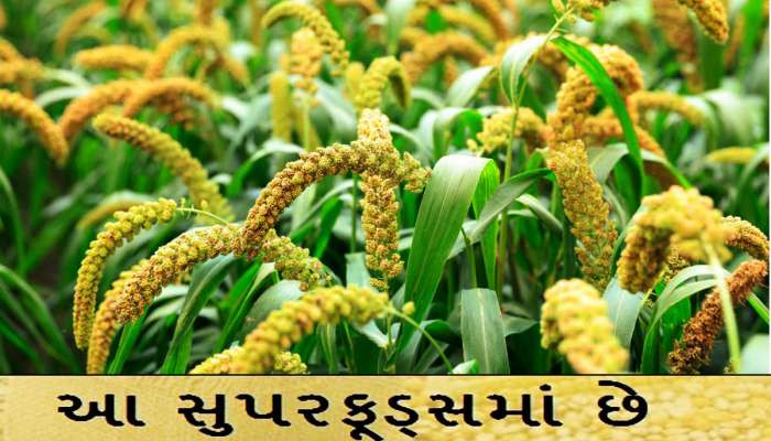 ઘઉં-ચોખા છોડીને કેમ આ વસ્તુ ખાઈ રહ્યાં છે લોકો? ગુજરાત સરકાર કેમ ખુદ આપી રહી છે સલાહ