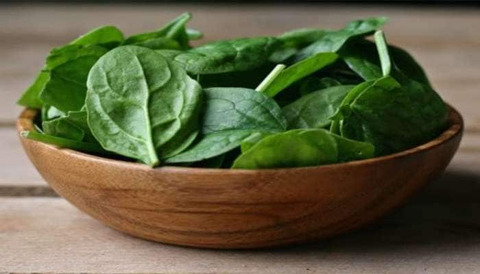 Spinach Benefits: પાલક ખાવાથી થતા આ ફાયદા વિશે જાણી બે હાથે ખાવા લાગશો આ ભાજી