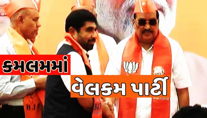ચૈતર વસાવાનો ભાજપે શોધી લીધો તોડ, કેજરીવાલ અને ઈસુદાનના ગણિતો ખોરવાશે