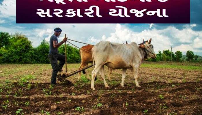 ગુજરાતના ખેડૂતો માટે વરદાન સમાન છે આ 5 સરકારી યોજના,ક્યારેય દુઃખી નહીં થાય જગતનો તાત