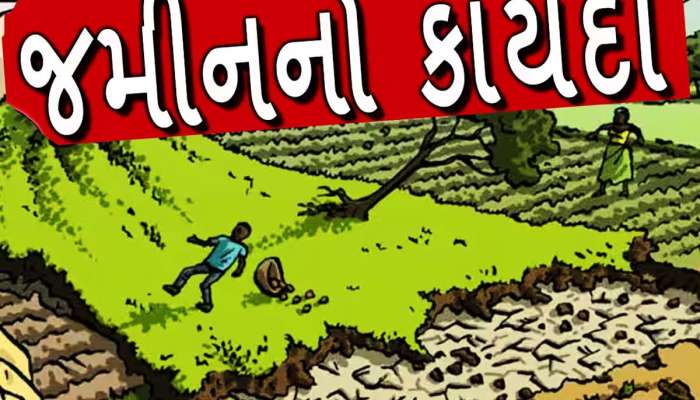 ગુજરાતમાં બદલાઈ રહ્યો છે ખેતીની જમીનના ખરીદ-વેચાણનો કાયદો, જાણો કોને થશે મોટો લાભ