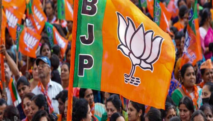 Election 2024: ગુજરાતમાં 5 સાંસદોનો પત્તા કપાયા, બે રિપીટ, ભાજપની બીજી યાદી જાહેર