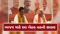 40 વર્ષ પહેલાં જે ગુજરાતીઓએ ભાજપનું નામ દેશમાં ગજવ્યું ત્યાં જ ડખા, ભાજપ નથી કરી...