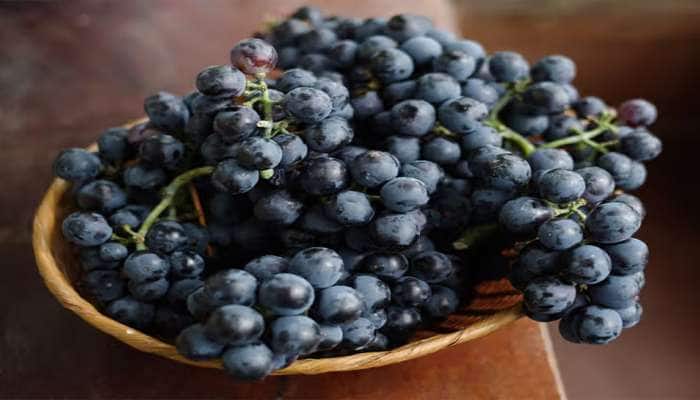 Black Grapes: સ્વાસ્થ્ય માટે વરદાન છે કાળી દ્રાક્ષ, જાણો આ સીઝનમાં ખાવાથી થતા ફાયદા 