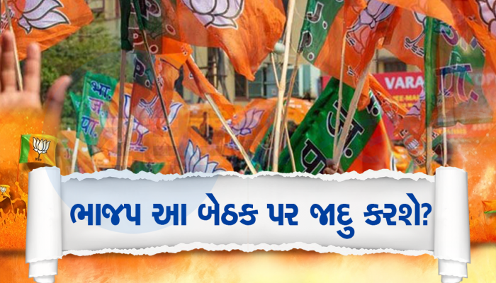 ગુજરાતની 26 બેઠકો પર 5 લાખની લીડનો ટાર્ગેટ પણ અમિત શાહની સીટનો અધધ...છે ટાર્ગેટ