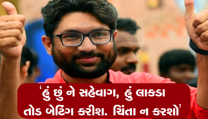 મેવાણી ભાજપનો ખેલ બગાડશે : જેને જવું હતું એ તો ગયા, આ વખતે 26-0 નહીં થવા દઈએ 