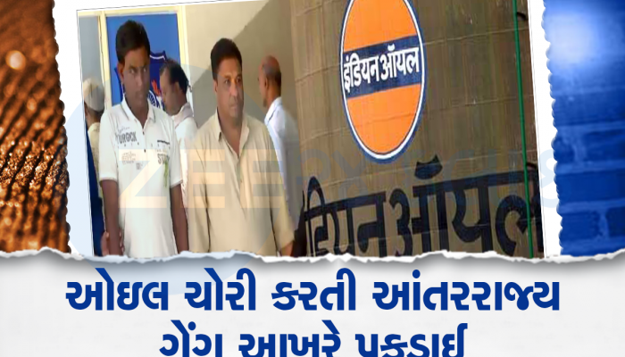 બે રાજ્યોમાં ઓઈલ ચોરીને તરખાટ મચાવતી મોસ્ટ વોન્ટેડ ગેંગ પકડાઈ : ચોરીની ટેકનિકમાં હતા ભેજાબાજ