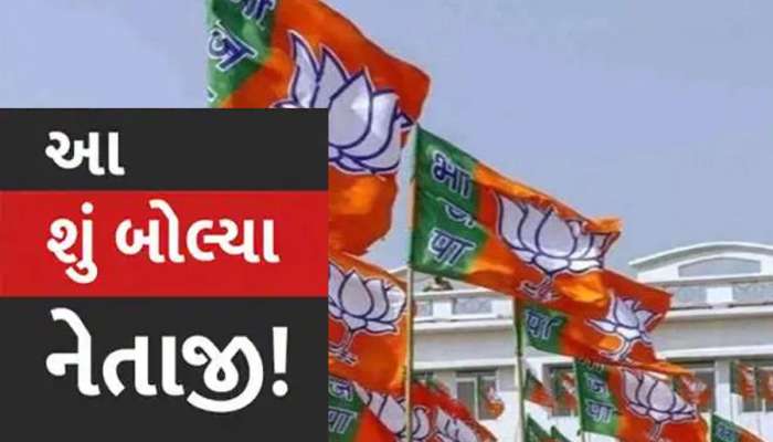 'એક વખત નહી 50 વખત ભાજપની સરકાર બનાવવી જોઇએ', ગુજરાતના કયા નેતાએ આપ્યું મોટું નિવેદન