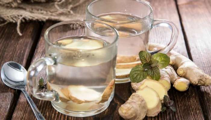 Health Tips: પેટ બગડે તો અજમાવો આ 5 નુસખા, ડાયેરિયા અને એસિડિટીથી દવા વિના મળશે રાહત